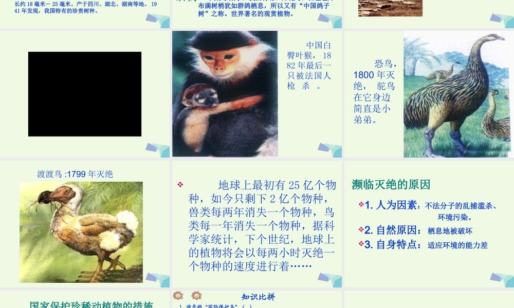六年级科学上册 珍稀动植物课件10 青岛版-青岛版小学六年级上册自然科学课件