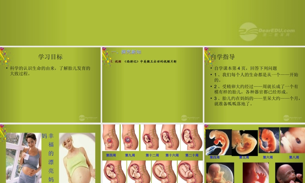 六年级科学下册《我从哪里来》课件1 青岛版