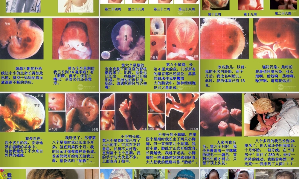 六年级科学下册《我从哪里来》课件1 青岛版