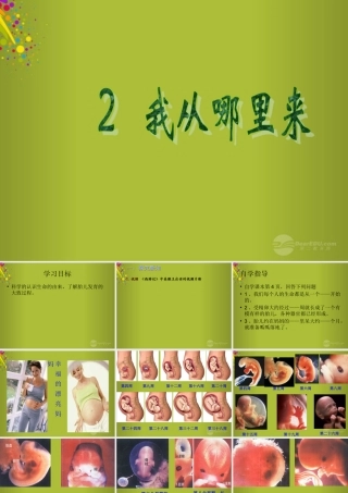 六年级科学下册《我从哪里来》课件1 青岛版