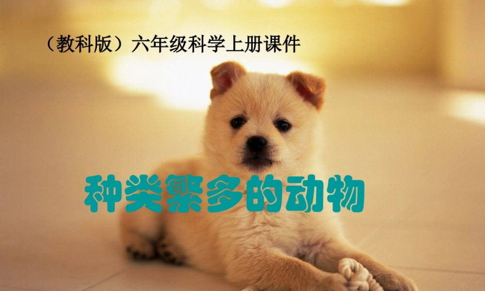 六年级科学上册 种类繁多的动物 1课件 教科版