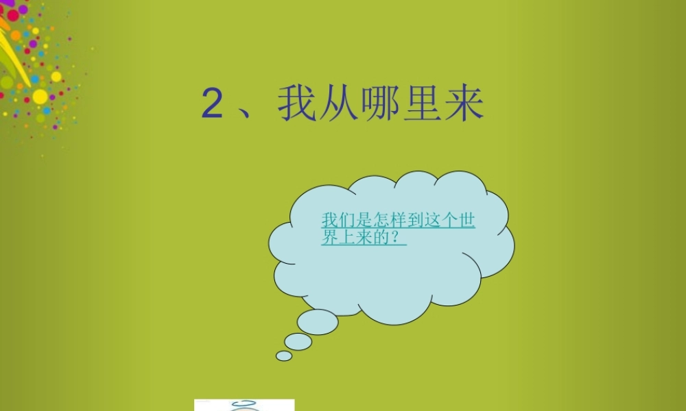 六年级科学下册《我从哪里来》课件2 青岛版