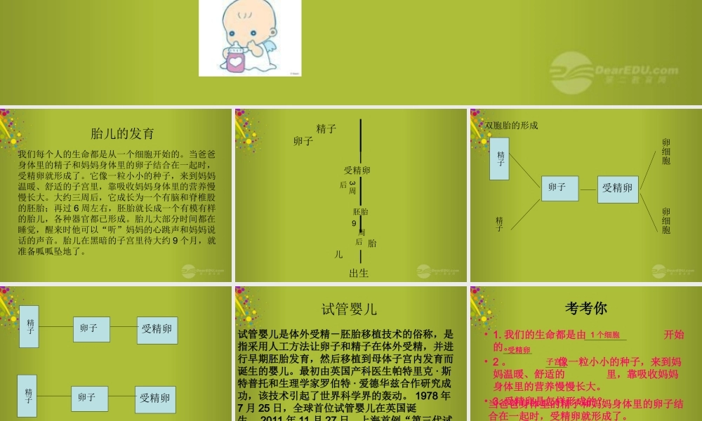 六年级科学下册《我从哪里来》课件2 青岛版