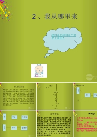 六年级科学下册《我从哪里来》课件2 青岛版