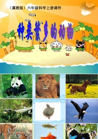 六年级科学上册 种类繁多的动物课件 冀教版