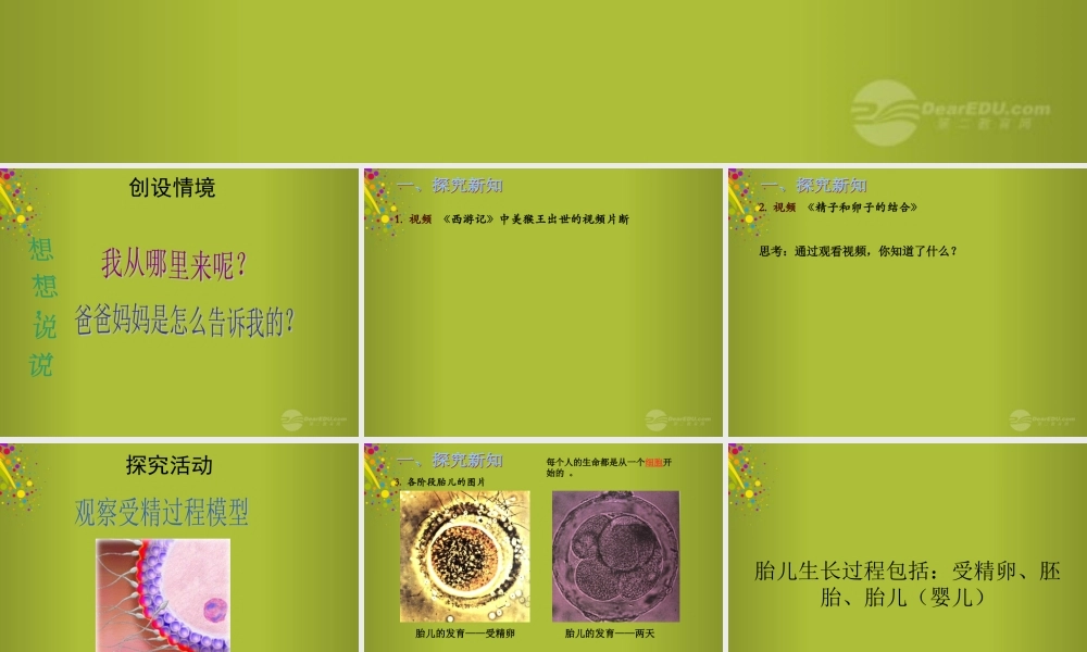 六年级科学下册《我从哪里来》课件3 青岛版