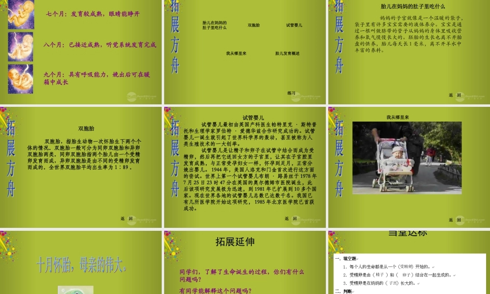 六年级科学下册《我从哪里来》课件3 青岛版