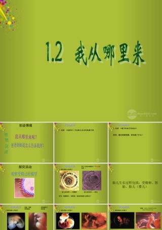 六年级科学下册《我从哪里来》课件3 青岛版