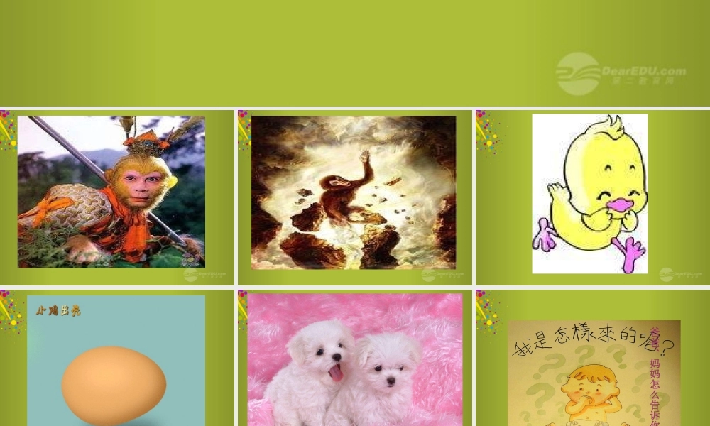 六年级科学下册《我从哪里来》课件4 青岛版