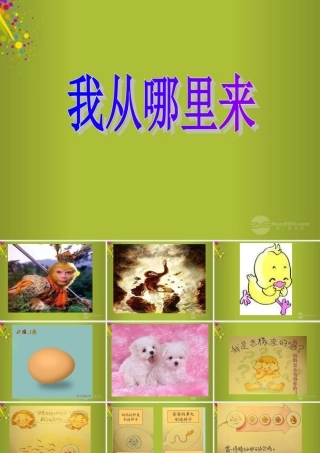 六年级科学下册《我从哪里来》课件4 青岛版