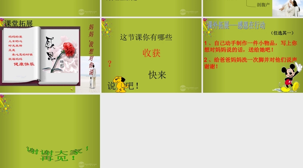 六年级科学下册《我从哪里来》课件5 青岛版