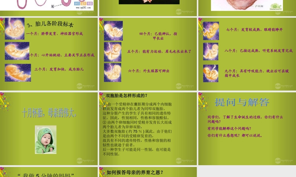 六年级科学下册《我从哪里来》课件6 青岛版