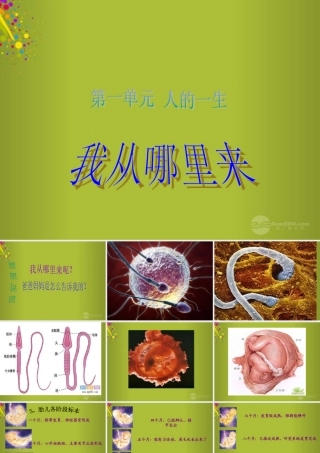 六年级科学下册《我从哪里来》课件6 青岛版