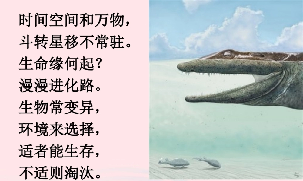 六年级科学下册 一 生物的进化 1 生命的历程课件 湘教版-湘教版小学六年级下册自然科学课件