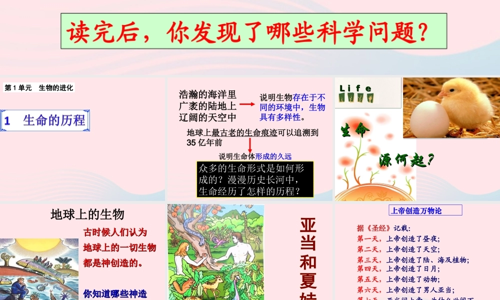 六年级科学下册 一 生物的进化 1 生命的历程课件 湘教版-湘教版小学六年级下册自然科学课件