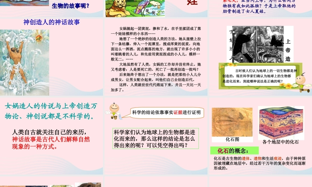 六年级科学下册 一 生物的进化 1 生命的历程课件 湘教版-湘教版小学六年级下册自然科学课件