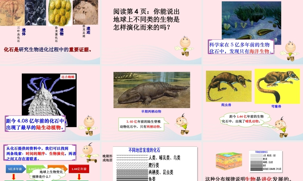 六年级科学下册 一 生物的进化 1 生命的历程课件 湘教版-湘教版小学六年级下册自然科学课件