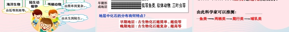 六年级科学下册 一 生物的进化 1 生命的历程课件 湘教版-湘教版小学六年级下册自然科学课件