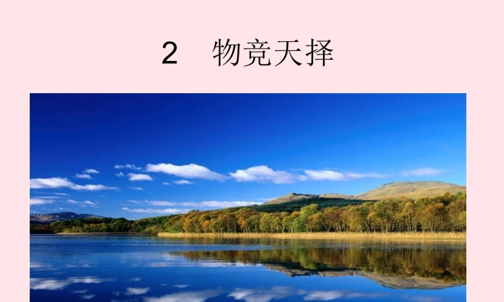 六年级科学下册 一 生物的进化 2 物竞天择课件（1） 湘教版-湘教版小学六年级下册自然科学课件