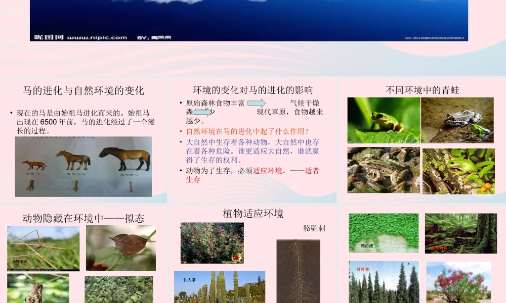 六年级科学下册 一 生物的进化 2 物竞天择课件（1） 湘教版-湘教版小学六年级下册自然科学课件