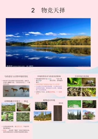 六年级科学下册 一 生物的进化 2 物竞天择课件（1） 湘教版-湘教版小学六年级下册自然科学课件
