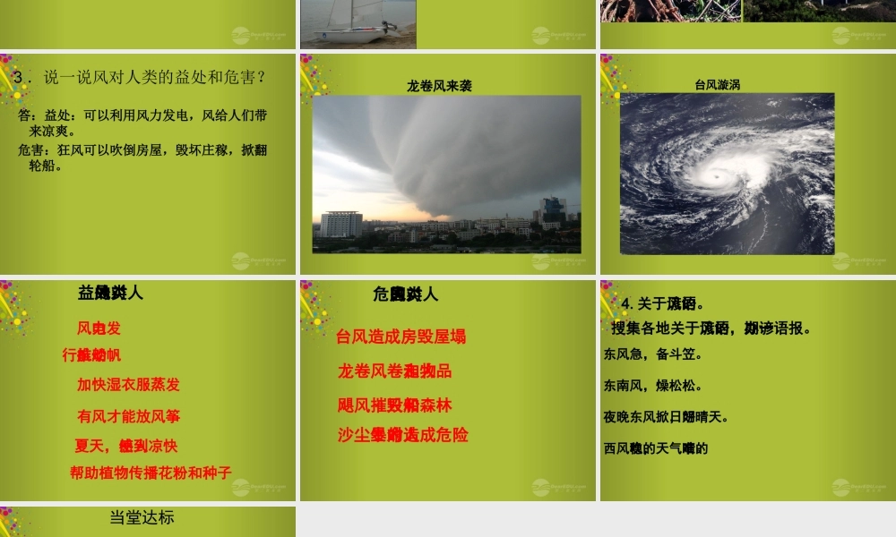 六年级科学下册《小帆船》课件2 青岛版