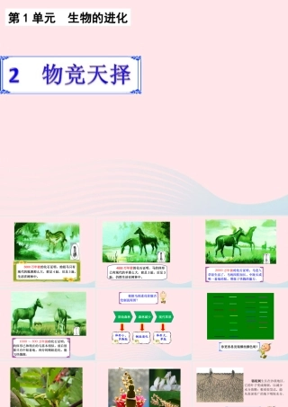 六年级科学下册 一 生物的进化 2 物竞天择课件（2） 湘教版-湘教版小学六年级下册自然科学课件