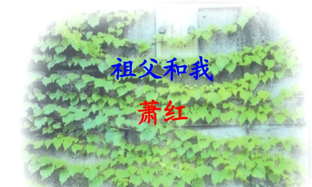 六年级语文上册 第1课《祖父和我》课件2 沪教版-沪教版小学六年级上册语文课件