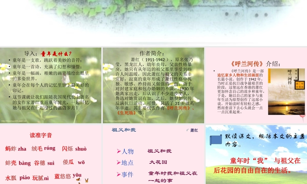 六年级语文上册 第1课《祖父和我》课件2 沪教版-沪教版小学六年级上册语文课件