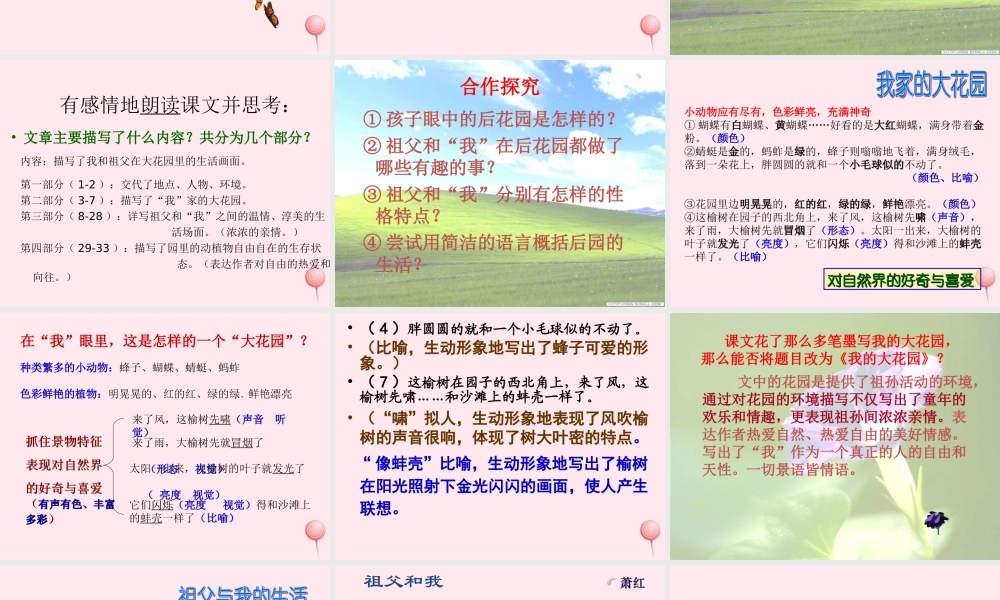 六年级语文上册 第1课《祖父和我》课件2 沪教版-沪教版小学六年级上册语文课件