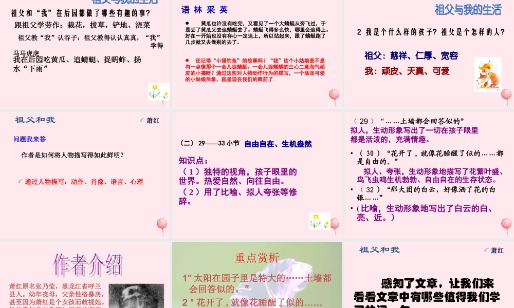 六年级语文上册 第1课《祖父和我》课件2 沪教版-沪教版小学六年级上册语文课件