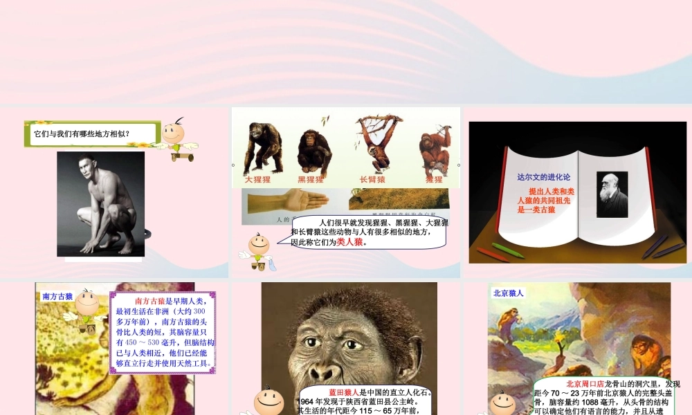 六年级科学下册 一 生物的进化 3 人类的起源课件（1） 湘教版-湘教版小学六年级下册自然科学课件
