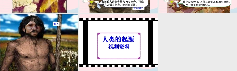 六年级科学下册 一 生物的进化 3 人类的起源课件（1） 湘教版-湘教版小学六年级下册自然科学课件