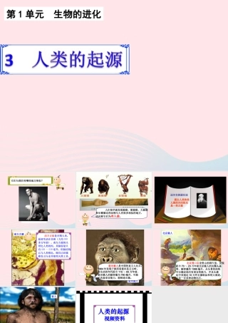 六年级科学下册 一 生物的进化 3 人类的起源课件（1） 湘教版-湘教版小学六年级下册自然科学课件