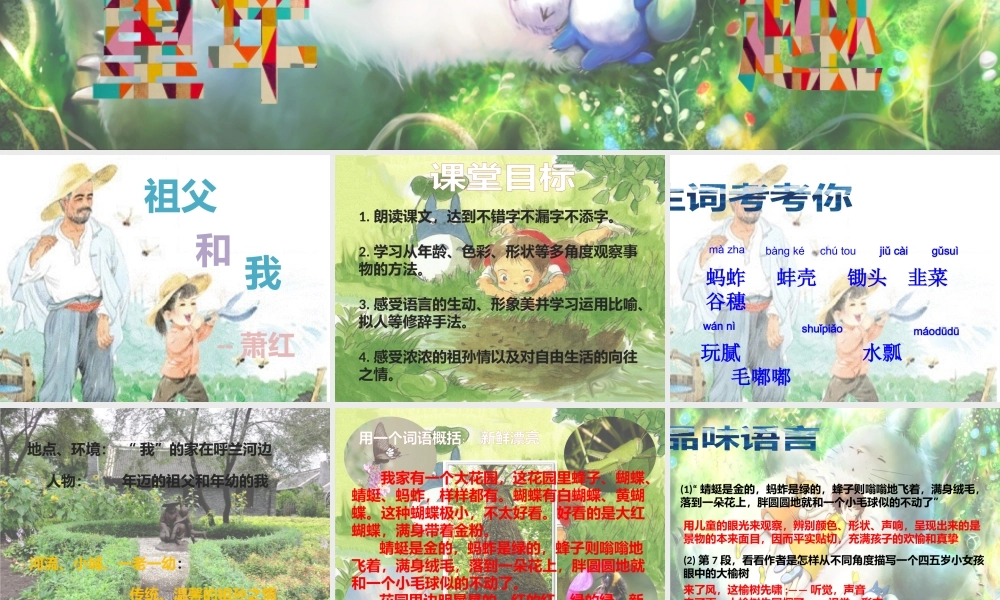 六年级语文上册 第1课《祖父和我》课件3 沪教版-沪教版小学六年级上册语文课件