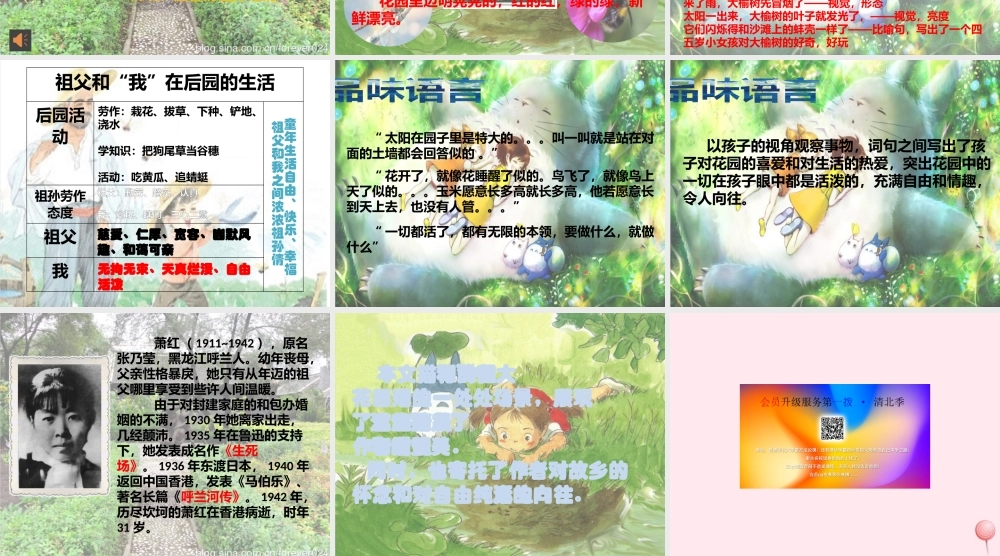 六年级语文上册 第1课《祖父和我》课件3 沪教版-沪教版小学六年级上册语文课件