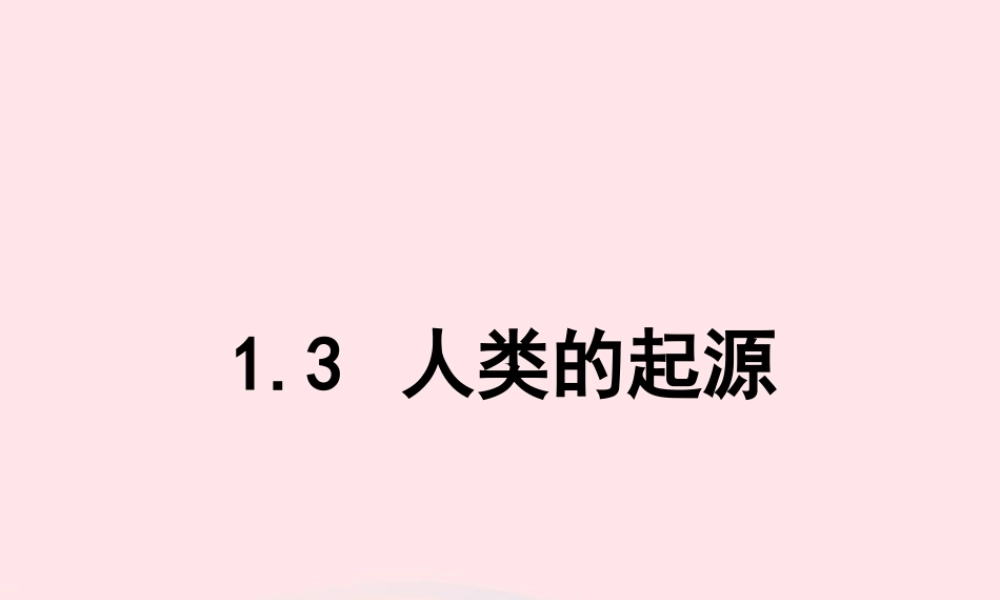 六年级科学下册 一 生物的进化 3 人类的起源课件（2） 湘教版-湘教版小学六年级下册自然科学课件