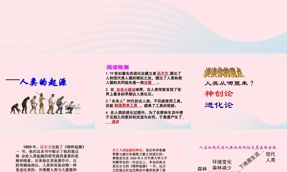 六年级科学下册 一 生物的进化 3 人类的起源课件（2） 湘教版-湘教版小学六年级下册自然科学课件