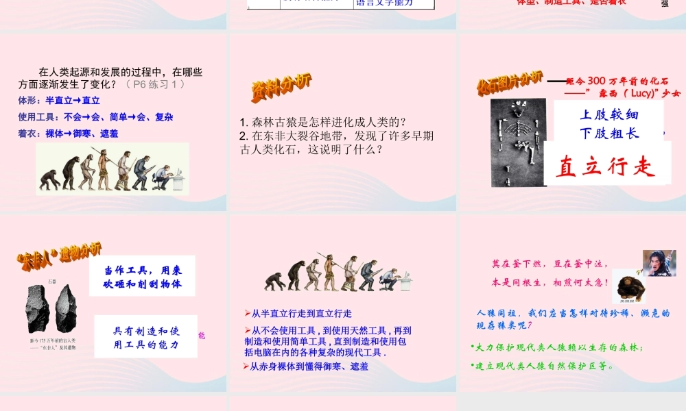 六年级科学下册 一 生物的进化 3 人类的起源课件（2） 湘教版-湘教版小学六年级下册自然科学课件
