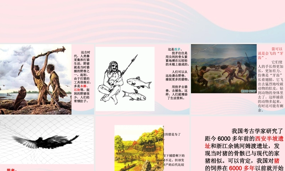 六年级科学下册 一 生物的进化 4 动物的驯化课件 湘教版-湘教版小学六年级下册自然科学课件