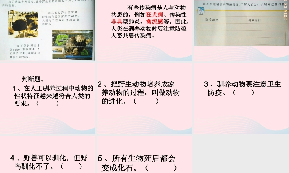 六年级科学下册 一 生物的进化 4 动物的驯化课件 湘教版-湘教版小学六年级下册自然科学课件
