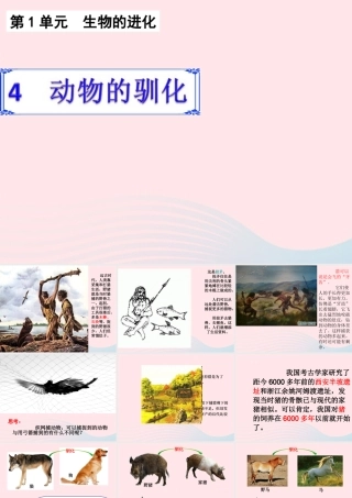 六年级科学下册 一 生物的进化 4 动物的驯化课件 湘教版-湘教版小学六年级下册自然科学课件