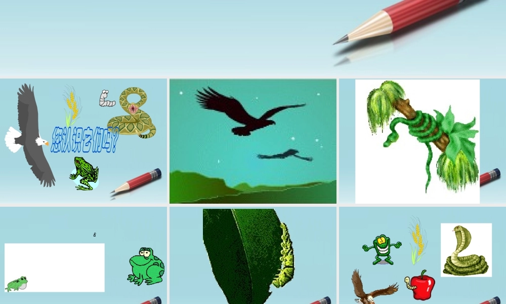 六年级科学下册 有趣的食物链 1课件 苏教版