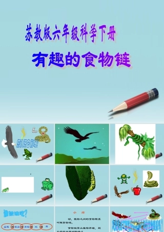 六年级科学下册 有趣的食物链 1课件 苏教版