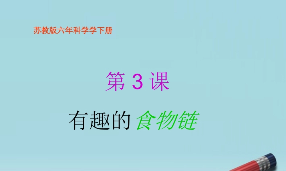 六年级科学下册 有趣的食物链 2课件 苏教版