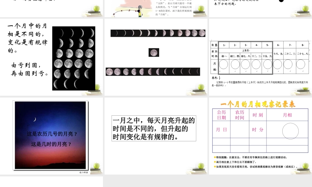 六年级科学下册 月相变化2课件 教科版