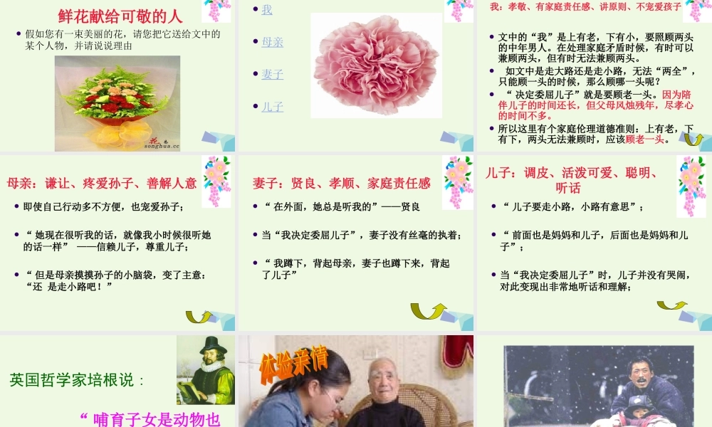 六年级语文上册 第10课 散步课件4 鲁教版-鲁教版小学六年级上册语文课件