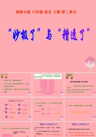 六年级语文上册 第10课“妙极了”与“遭透了”课件2 西师大版-西师大版小学六年级上册语文课件