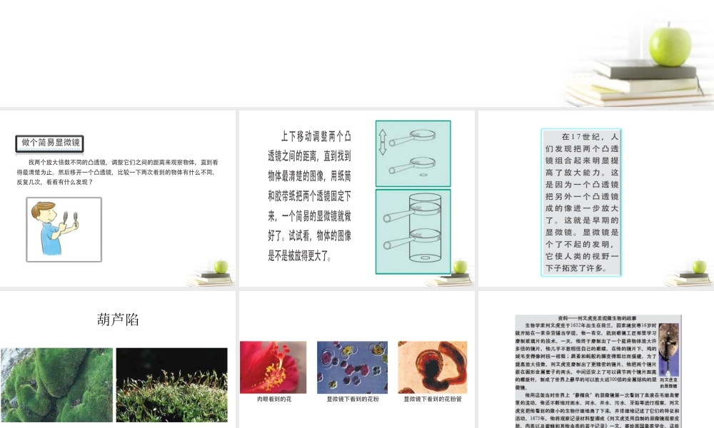 六年级科学下册 怎样放的更大2课件 教科版