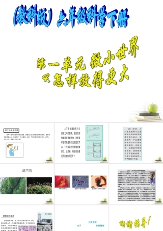 六年级科学下册 怎样放的更大2课件 教科版